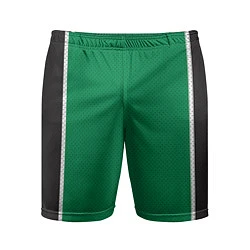 Мужские спортивные шорты Boston Celtics