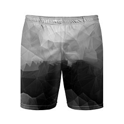 Мужские спортивные шорты Polygon gray
