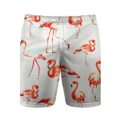 Мужские спортивные шорты Оранжевые фламинго
