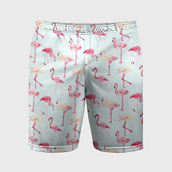Мужские спортивные шорты Фламинго