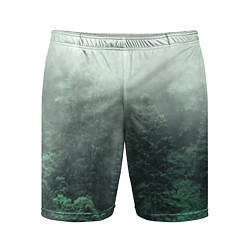 Мужские спортивные шорты Туманный лес
