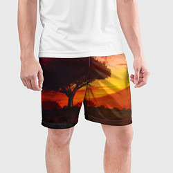 Шорты спортивные мужские СОЛНЦЕ НАД АФРИКОЙ, цвет: 3D-принт — фото 2