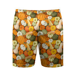Шорты спортивные мужские Тыквы Pumpkin, цвет: 3D-принт