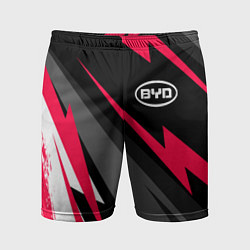 Мужские спортивные шорты BYD fast lines