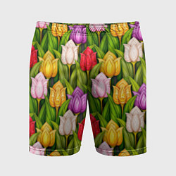 Мужские спортивные шорты Объемные разноцветные тюльпаны
