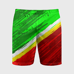 Мужские спортивные шорты Расцветка Зеленоградского флага