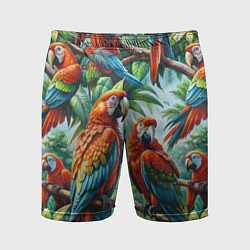Шорты спортивные мужские Попугаи Ара - тропики джунгли, цвет: 3D-принт