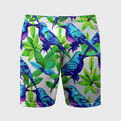 Мужские спортивные шорты Паттерн маленькое синее колибри