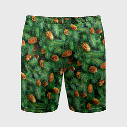 Мужские спортивные шорты Ёлка зелёная с шишками