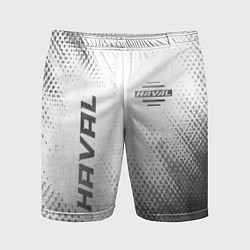 Мужские спортивные шорты Haval - white gradient вертикально