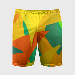 Шорты спортивные мужские Настроение в цветных тонах, цвет: 3D-принт