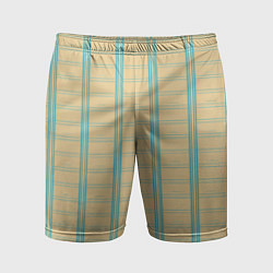 Мужские спортивные шорты Color beige cage light blue stripes
