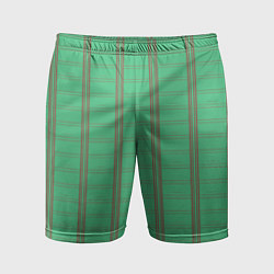 Шорты спортивные мужские Color green cage brown stripes, цвет: 3D-принт