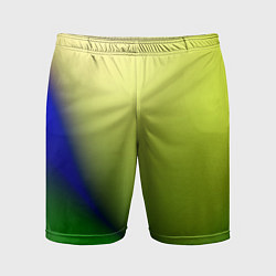 Мужские спортивные шорты The color is multicolored