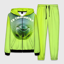 Мужской костюм Го тюленить?