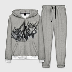 Мужской костюм Французские бульдоги пара