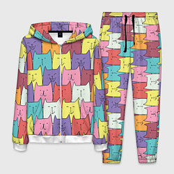 Мужской костюм Котики