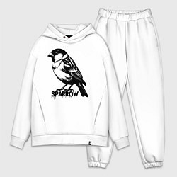 Мужской костюм оверсайз Графический воробей