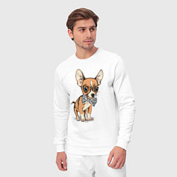 Костюм хлопковый мужской Чихуахуа с бабочкой, цвет: белый — фото 2