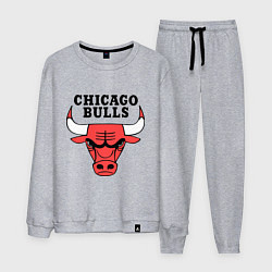 Костюм хлопковый мужской Chicago Bulls, цвет: меланж