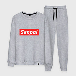 Костюм хлопковый мужской Senpai Supreme, цвет: меланж