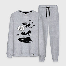 Костюм хлопковый мужской I'm not a CAT!, цвет: меланж