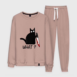 Костюм хлопковый мужской What cat, цвет: пыльно-розовый