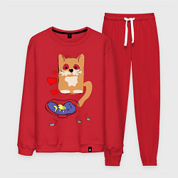 Костюм хлопковый мужской Рыжий кот, цвет: красный