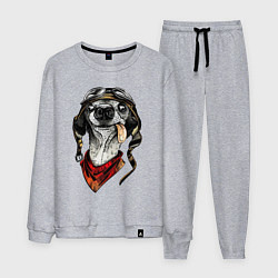 Костюм хлопковый мужской Biker dog, цвет: меланж
