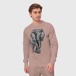 Костюм хлопковый мужской Огромный могучий слон, цвет: пыльно-розовый — фото 2