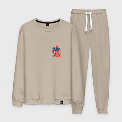 Костюм хлопковый мужской Анатомия Сердце, цвет: миндальный