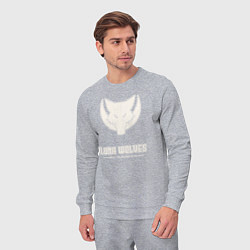 Костюм хлопковый мужской Лунные волки лого винтаж, цвет: меланж — фото 2