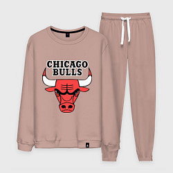Костюм хлопковый мужской Chicago Bulls, цвет: пыльно-розовый