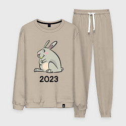 Костюм хлопковый мужской Большой кролик 2023, цвет: миндальный