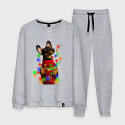 Костюм хлопковый мужской Новогодняя такса, цвет: меланж