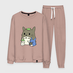Костюм хлопковый мужской Семейка Тоторо, цвет: пыльно-розовый
