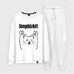 Мужской костюм Limp Bizkit - rock cat