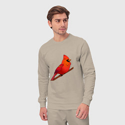 Костюм хлопковый мужской Птица красный кардинал, цвет: миндальный — фото 2