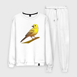 Костюм хлопковый мужской Домашняя канарейка, цвет: белый