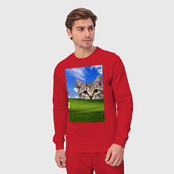 Костюм хлопковый мужской Кот и безмятежность в Windows XP, цвет: красный — фото 2