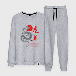 Костюм хлопковый мужской Year of the dragon, цвет: меланж