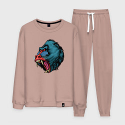 Костюм хлопковый мужской Mandrill monkey, цвет: пыльно-розовый