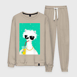 Костюм хлопковый мужской Лама-альпака на чиле с бокалом, цвет: миндальный