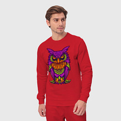 Костюм хлопковый мужской Purple owl, цвет: красный — фото 2