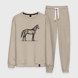 Костюм хлопковый мужской Лошадь в профиль, цвет: миндальный
