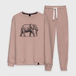 Костюм хлопковый мужской Слон гуляет, цвет: пыльно-розовый