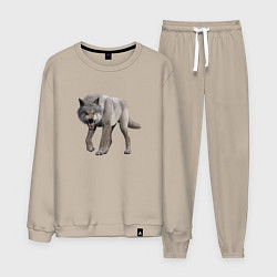 Костюм хлопковый мужской Волк глядит, цвет: миндальный