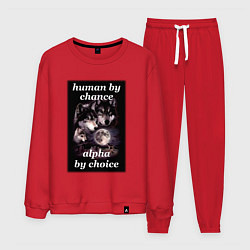 Костюм хлопковый мужской Human by chance, alpha by choice, цвет: красный