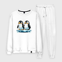 Костюм хлопковый мужской Два пингвина на льдине, цвет: белый