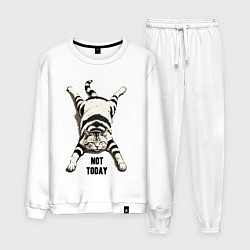 Костюм хлопковый мужской Ленивый кот - not today, цвет: белый